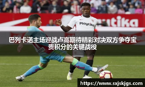 巴列卡诺主场迎战卢高期待精彩对决双方争夺宝贵积分的关键战役