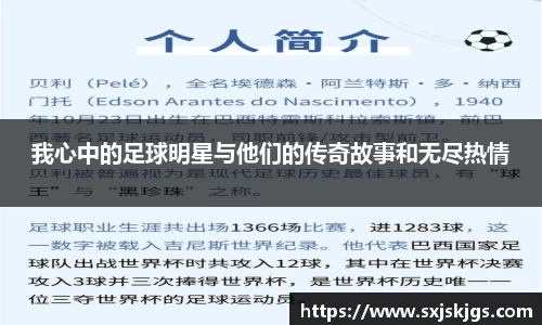 我心中的足球明星与他们的传奇故事和无尽热情