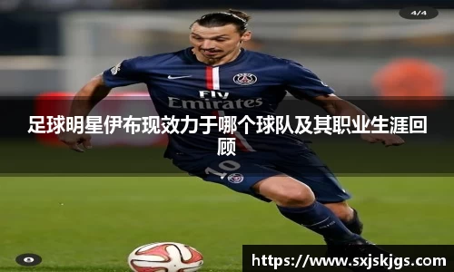 足球明星伊布现效力于哪个球队及其职业生涯回顾